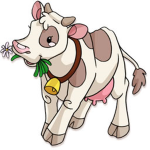 COW WARRIORS