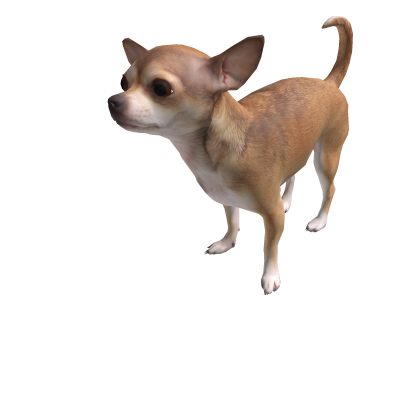 CHIHUAHUA