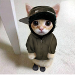 発展させる