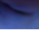 Anika is A Person