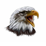 Supreme 3agle Studios
