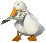 the duck bank organization