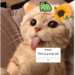 Happy Meows Studios
