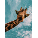 Glowxserias