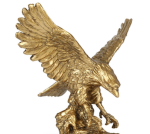 Golden birds fc