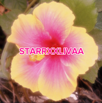 STARRXXLIVAA