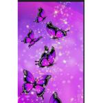 Happy butterflies in the woods