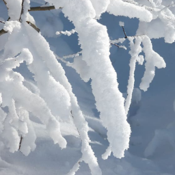 ❄