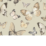 Flrxres butterfly’s