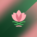 BA | Blossom Airlines