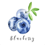 ItzBlueberrys