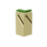 Honey Dew seed image