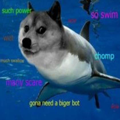 Scary Shark Roblox decal