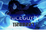 niceguy's