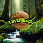 Ceviz Studios
