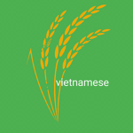 Vietnamese <3