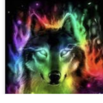 Wolfs Express