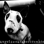 angelswearabercrombie