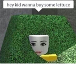 Meme group jr