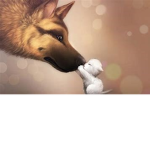 Animawls