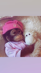 ~AMELIAS GROUP~