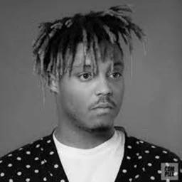 Juice WRLD Consert icon