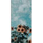 -cloud friends-