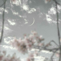 ❀ ༄ ༉‧˚.