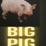 Big Pig 