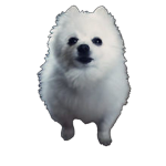 Gabe The Dog FanClub