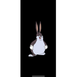 Peculiaria