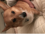 Friendly Fridays!