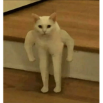 Hello-someone