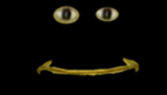 Im_bob experiences