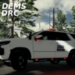 DCEMS - DSRP