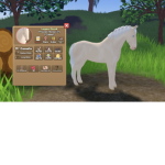 .*+|Silver Meadows Riding Academy|+*.