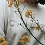 NSRU