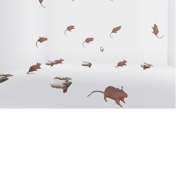 a rubber room with rats/friends :)