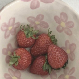 ୧ .˚🍰✩.