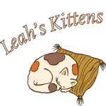 Leah's Kittens