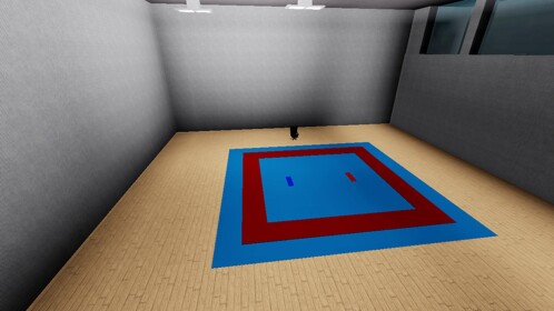 Karate Competition Area