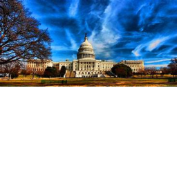 WASHINGTON D.C