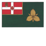 2nd Canadian Battalion