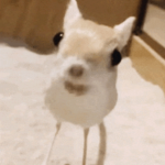 guhhhhhh