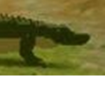 The Gator Gang