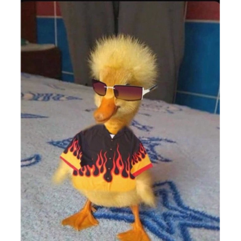 To try out my outfits