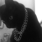 b l i n g $
