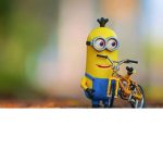 Bestboy1