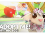 Adopt Me Fanclub/Hangout