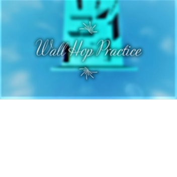 Wall Hop Practice